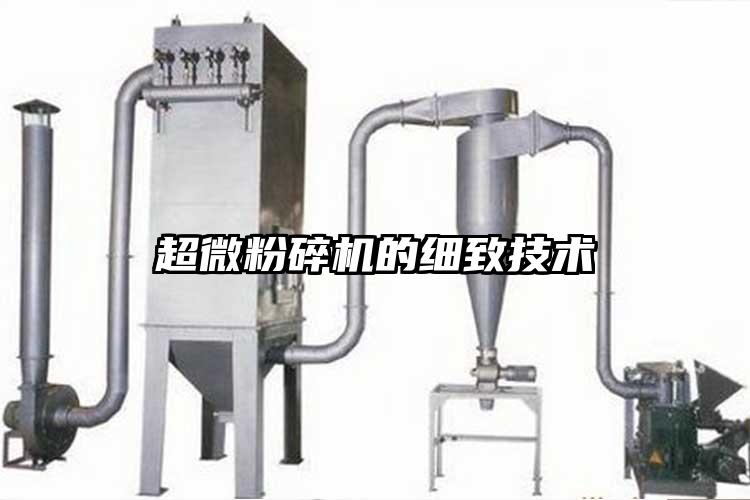 蜜桃视频污app安装的细致技术