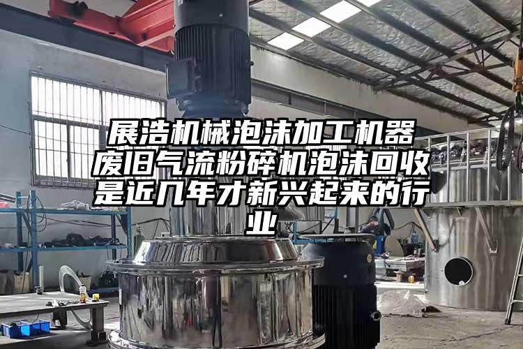  展浩机械泡沫加工机器 废旧蜜桃视频下载泡沫回收是近几年才新兴起来的行业